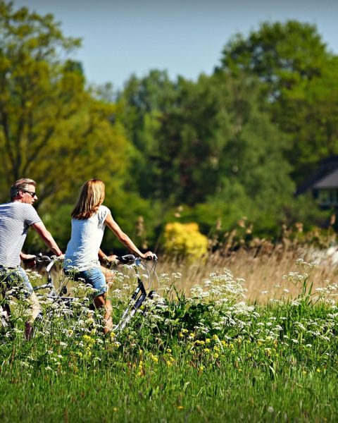 Vriendinnen fietsen samen door een groen Nederlands polderlandschap